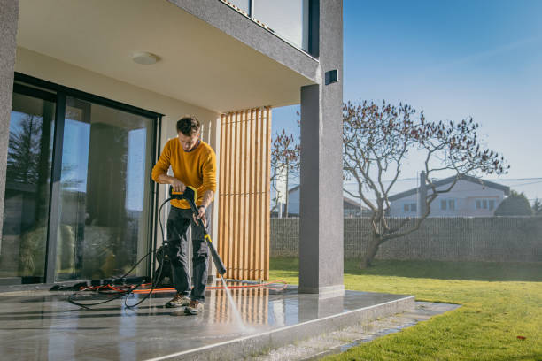 Best Sidewalk and Walkway Cleaning  in Centrevle, IL