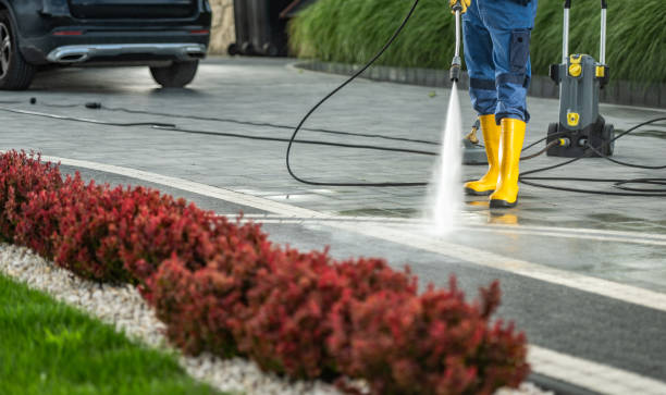 Best Dumpster Area Cleaning  in Centrevle, IL